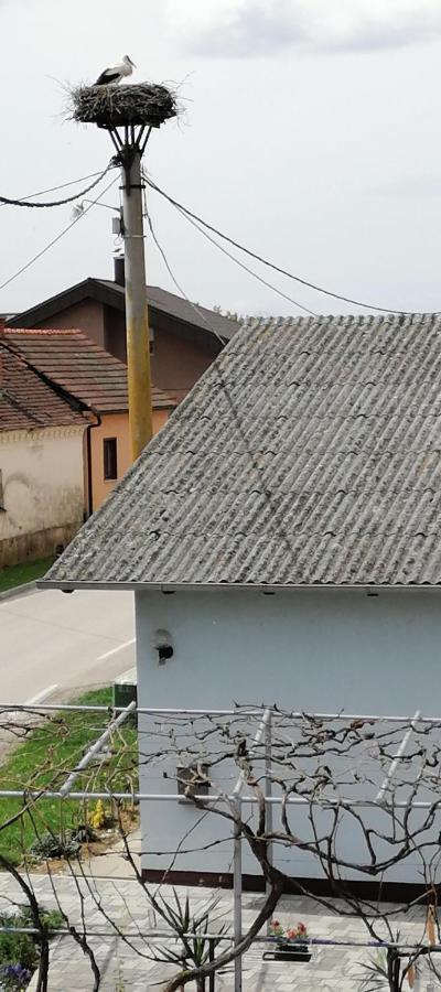 Bela Golobica Bogojina Villa Exteriör bild